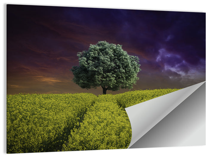 Solitary Tree in Yellow Field Wall Art as a poster print