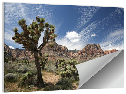 Joshua Tree at Red Rock Canyon Wall Art