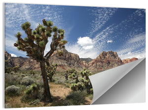 Red Rock Canyon Joshua Tree Wall Art