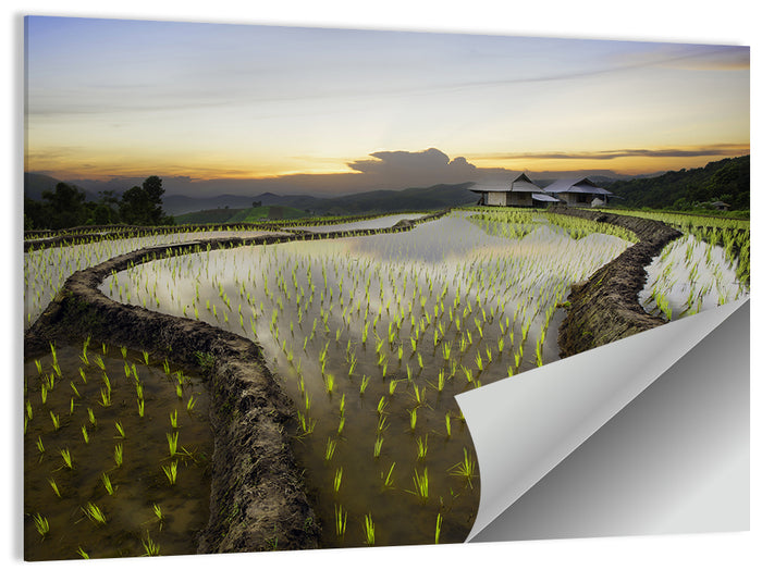 Pa Pong Peang Rice Terrace Wall Art as a poster print