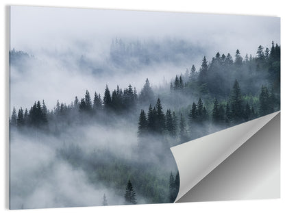 Misty Mountain Pine Forest Wall Art