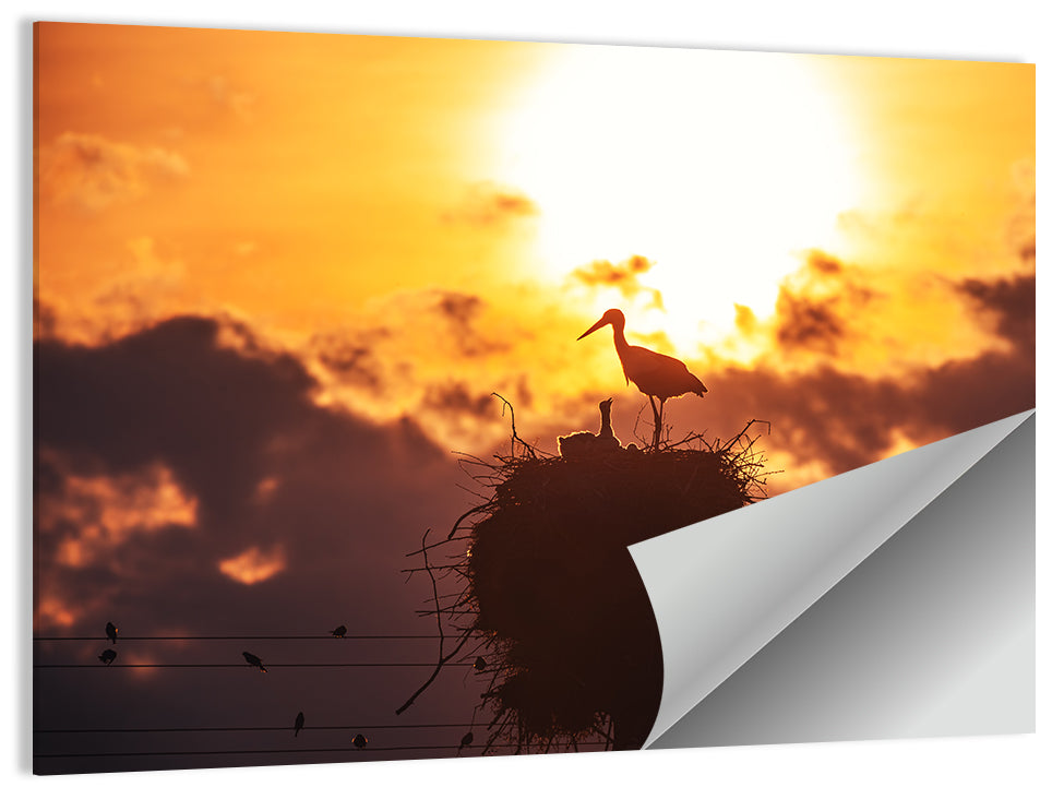 Stork Nest at Sunset Wall Art