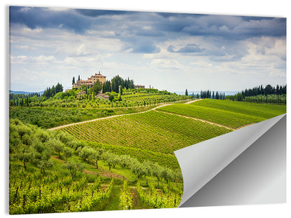 Chianti Vineyards Hills Wall Art