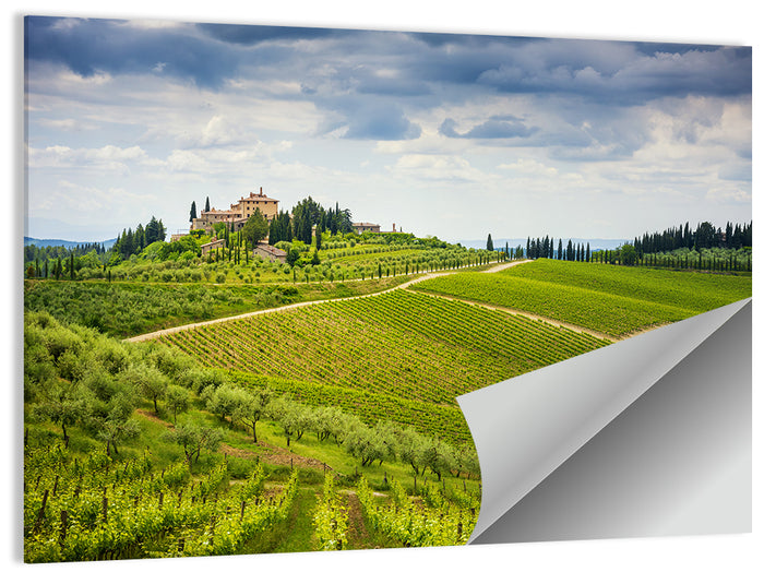 Chianti Vineyard Hills Wall Art as a poster print