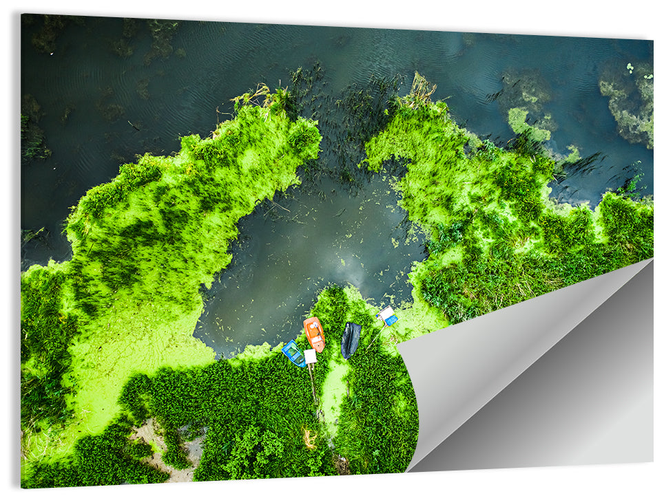 Green Algae Lake with Boats Wall Art