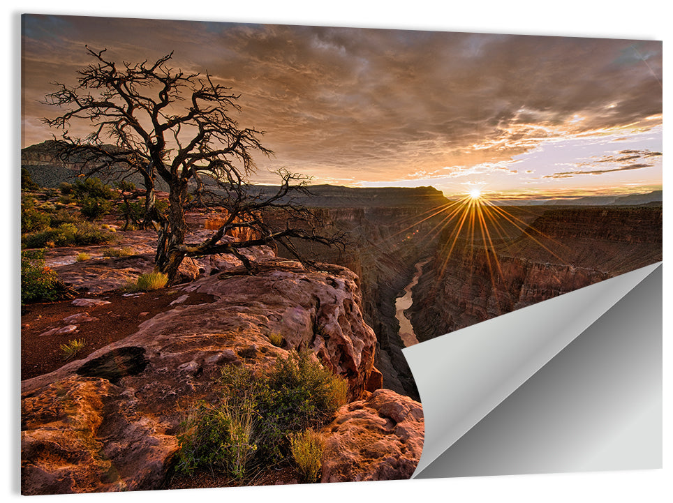 Arizona Canyon Sunset Wall Art