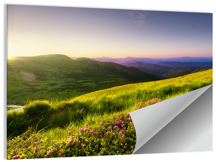 Alpine Meadow Sunrise Wall Art as a poster print