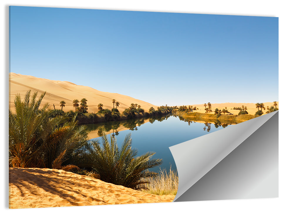 Umm Al Ma Desert Oasis Wall Art