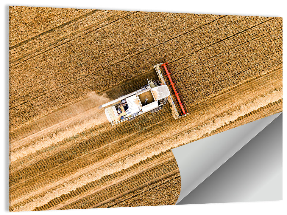 Aerial Combine Over Wheat Field Wall Art