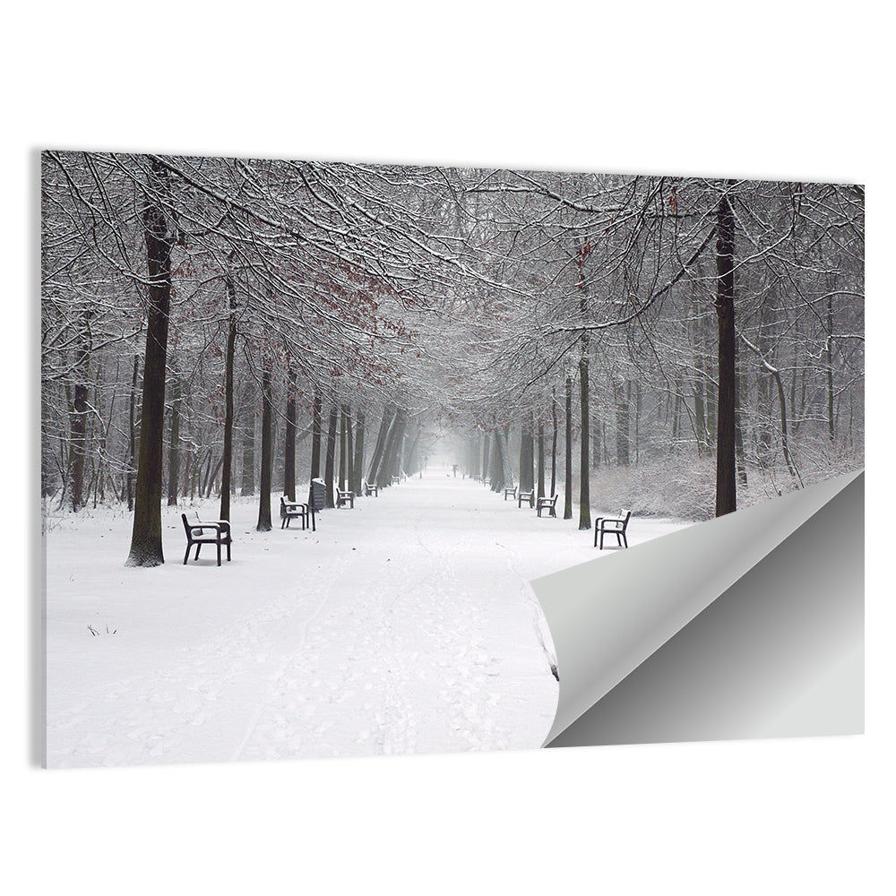 Snow Covered Park Lane Wall Art