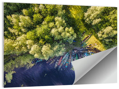 Cluster of Boats Along Forest Shore Wall Art