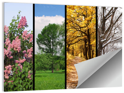 Four Seasons Tree Collage Wall Art