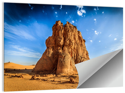 Algerian Desert Rock Carvings Wall Art