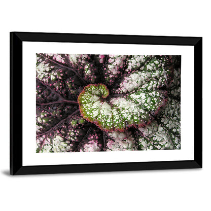 Begonia Leaf Spiral Geometry Wall Art