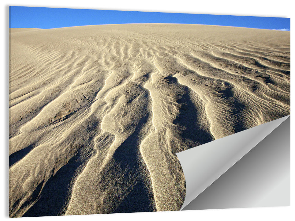 Endless Rippled Sand Dunes Wall Art