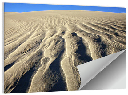 Endless Rippled Sand Dunes Wall Art