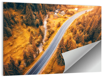 Carpathian Autumn Road Wall Art