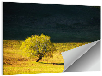Lone Tree in Golden Meadow Wall Art