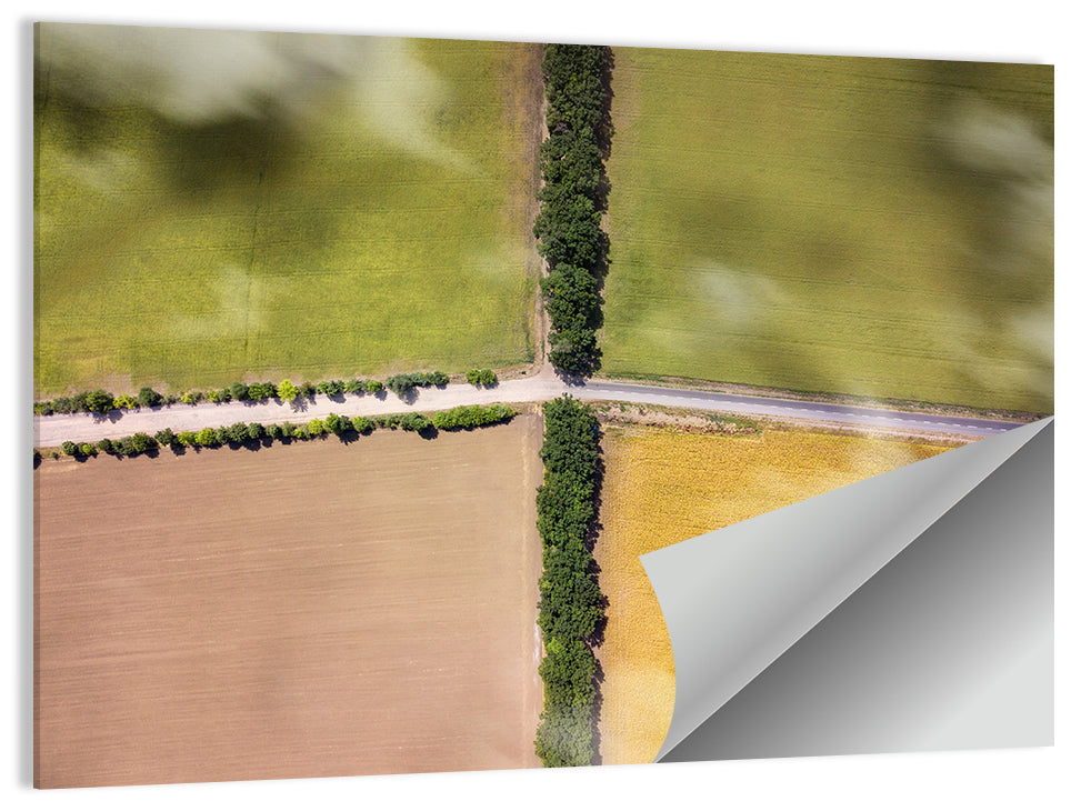 Aerial Farmland Quadrants Wall Art