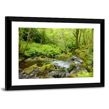 Mossy Stream Through Forest Wall Art