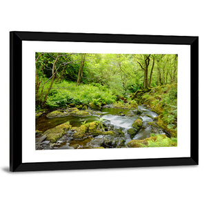 Forest Stream Wall Art