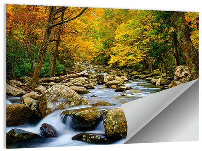 Autumn Stream Through Forest Wall Art