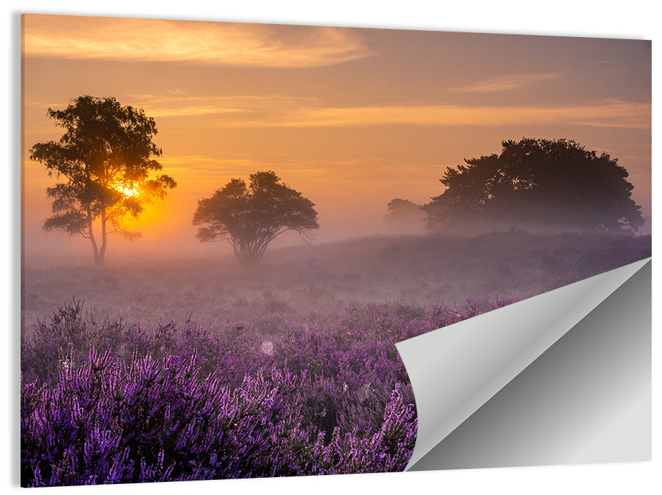 Misty Heather Field at Dawn Wall Art