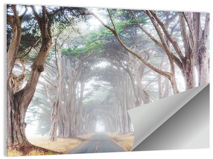 Misty Morning Alleyway Wall Art