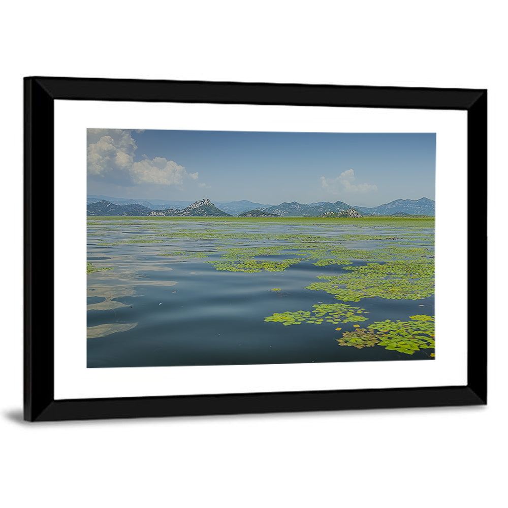 Lake Skadar Water Lilies Wall Art