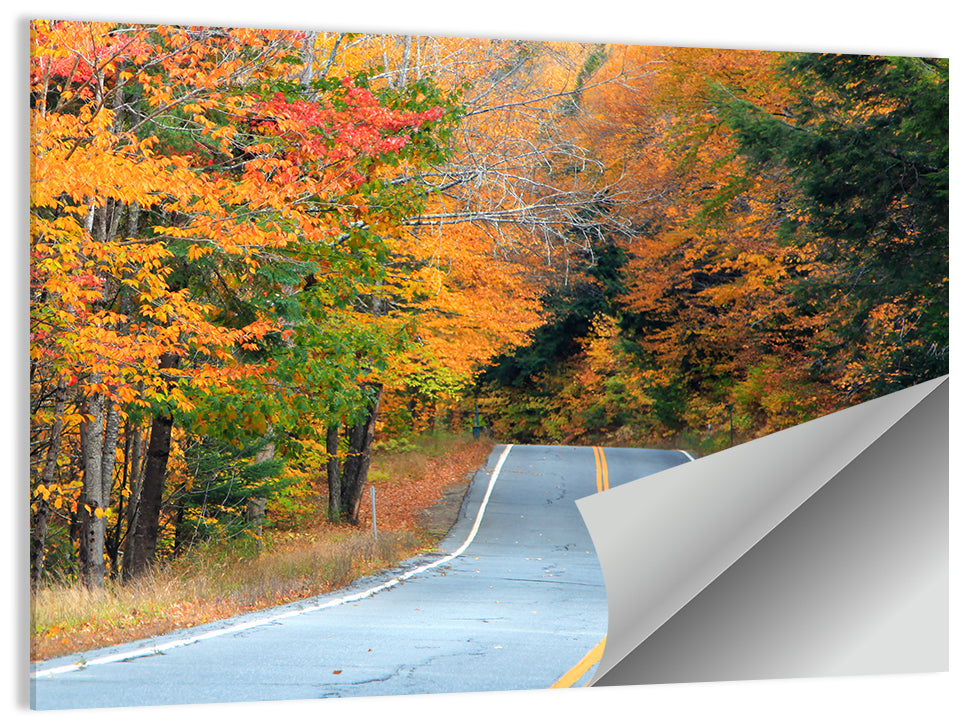 Autumn Road in New Hampshire Wall Art