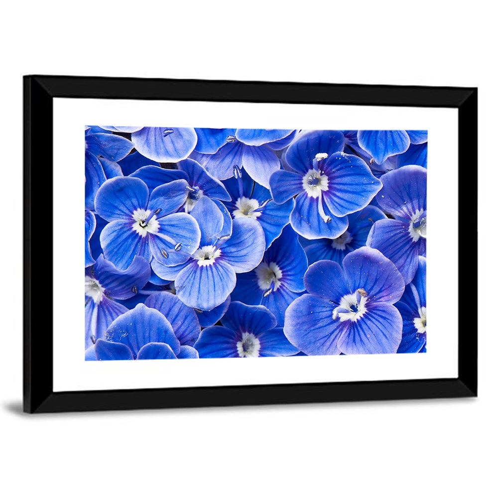 Blue Wildflower Close-up Wall Art