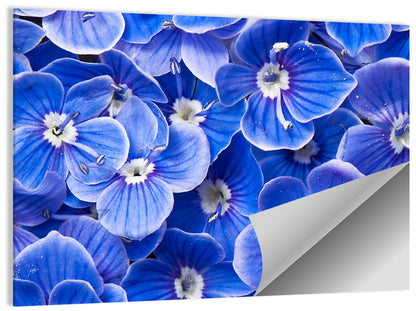 Blue Wildflower Close-up Wall Art