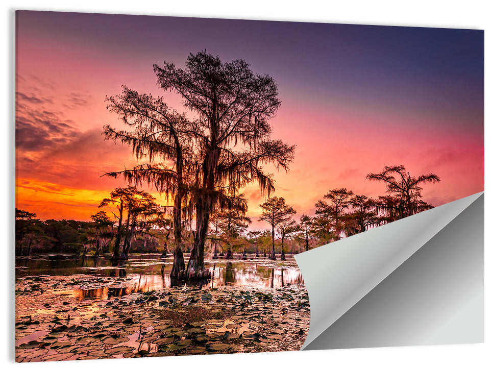 Caddo Lake Cypress Sunset Wall Art