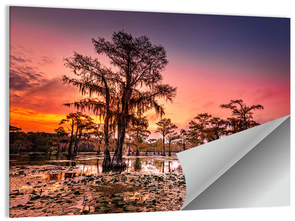 Caddo Lake Cypress Sunset Wall Art
