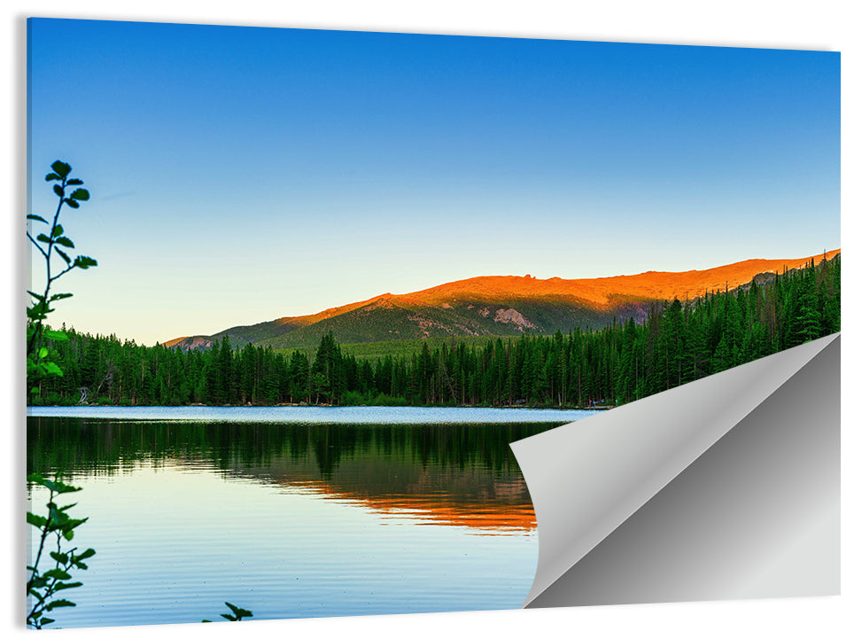Bear Lake Morning Light, Estes Park Wall Art
