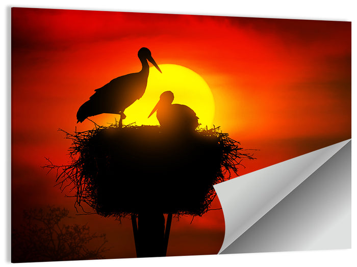 Storks in Nest at Sunset Wall Art as a poster print