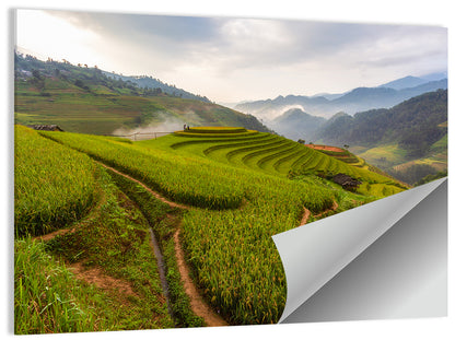 Terraced Rice Paddies Wall Art