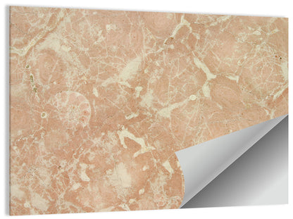 Fossil Veins Marble Study Wall Art