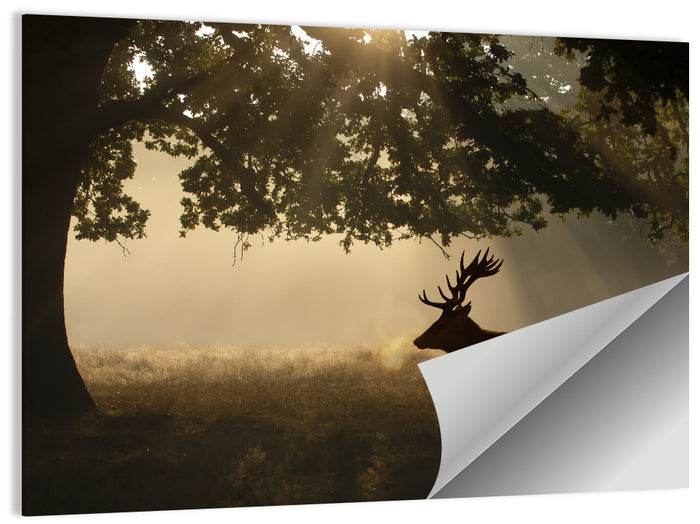 Misty Stag Silhouette Wall Art as a poster print