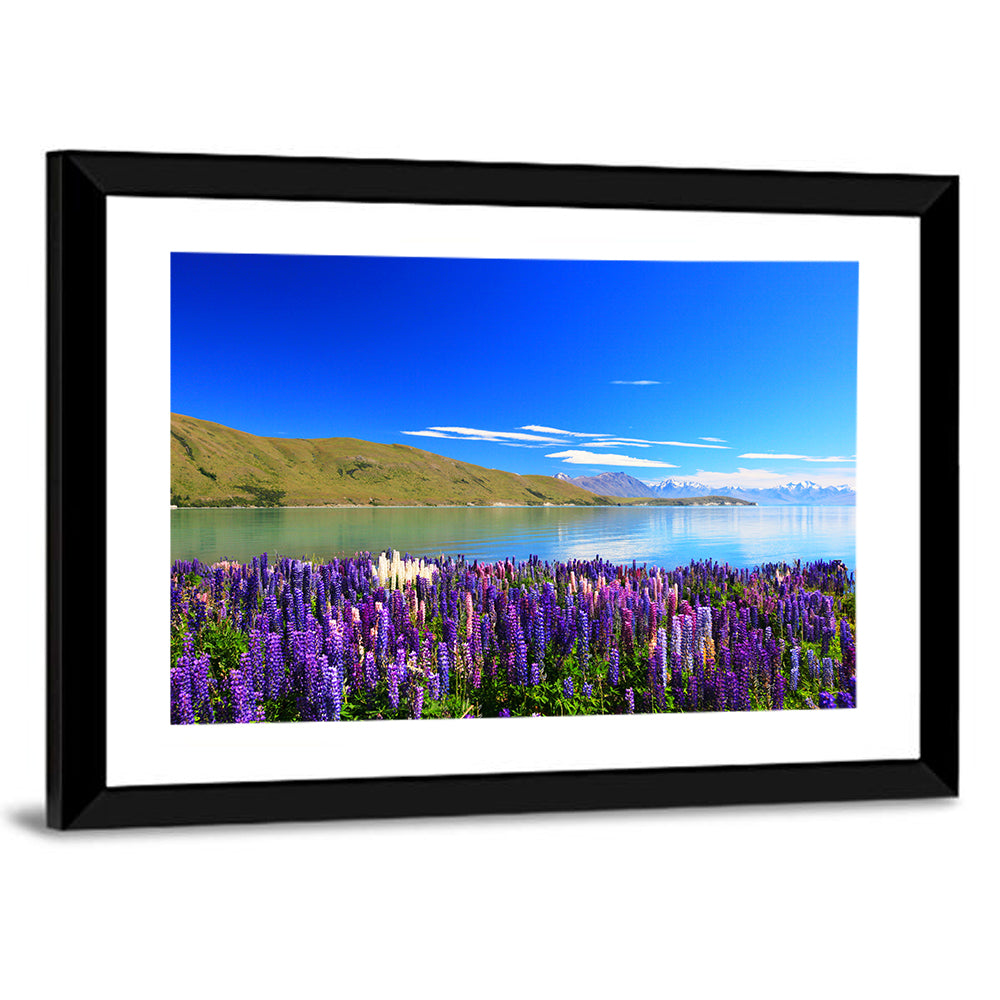 Lake Tekapo Lupine Fields Wall Art