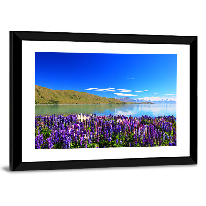 Lake Tekapo Lupine Fields Wall Art as a framed print