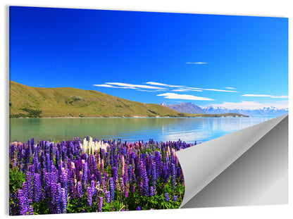 Lake Tekapo Lupine Fields Wall Art