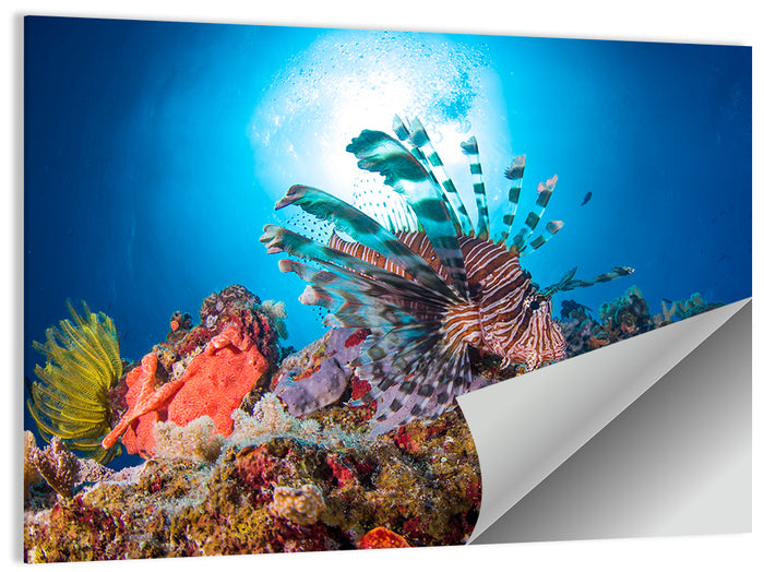 Lionfish in Coral Reef Wall Art as a poster print