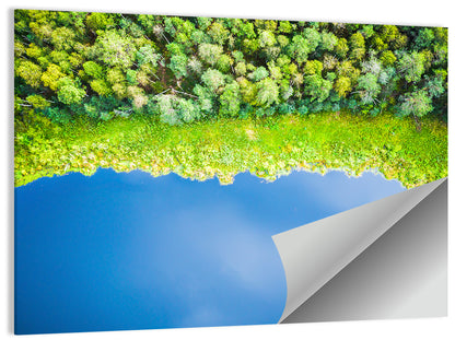Aerial Blue Lake Over Woodland Wall Art