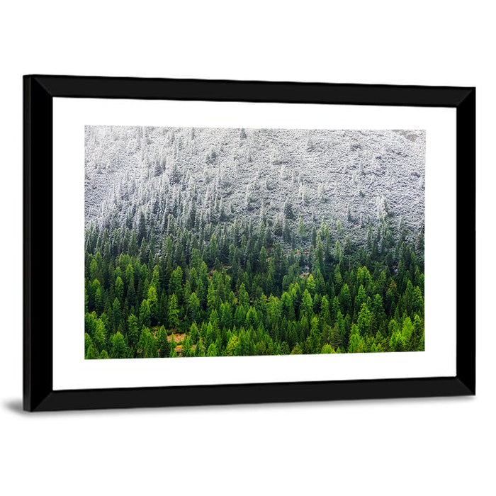 Snowy Dolomites Forest Wall Art as a framed print