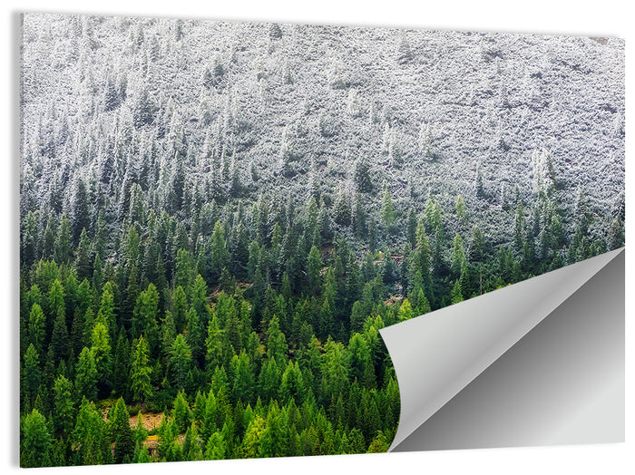 Snowy Dolomites Forest Wall Art as a poster print