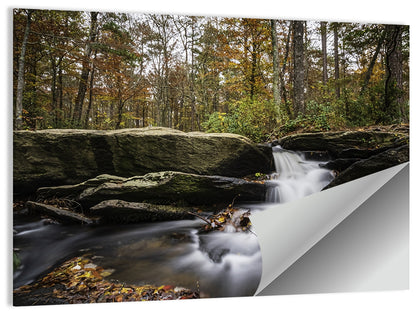Cheaha Falls Autumn Waterfall Wall Art