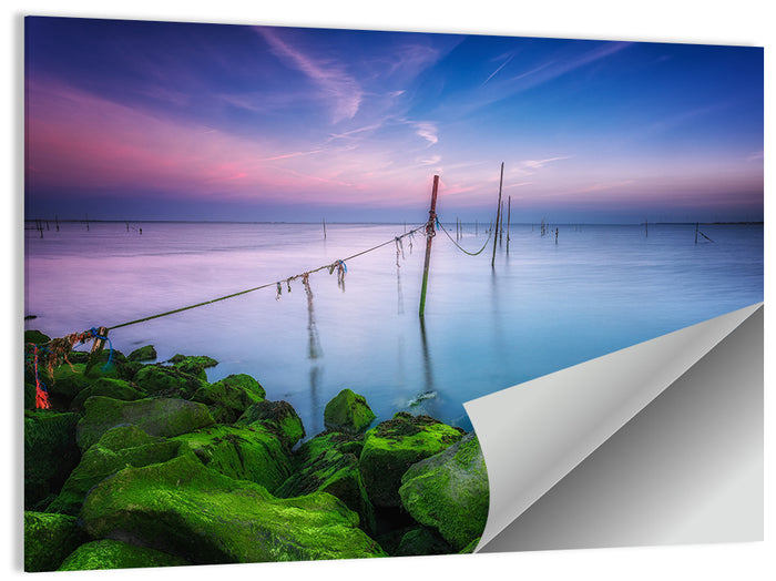 Mossy Coastal Rocks at Dusk Wall Art as a poster print
