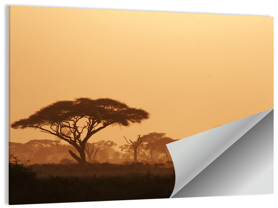 Amboseli Savanna Sunset Wall Art