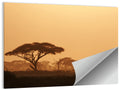 Amboseli Savanna Sunset Wall Art